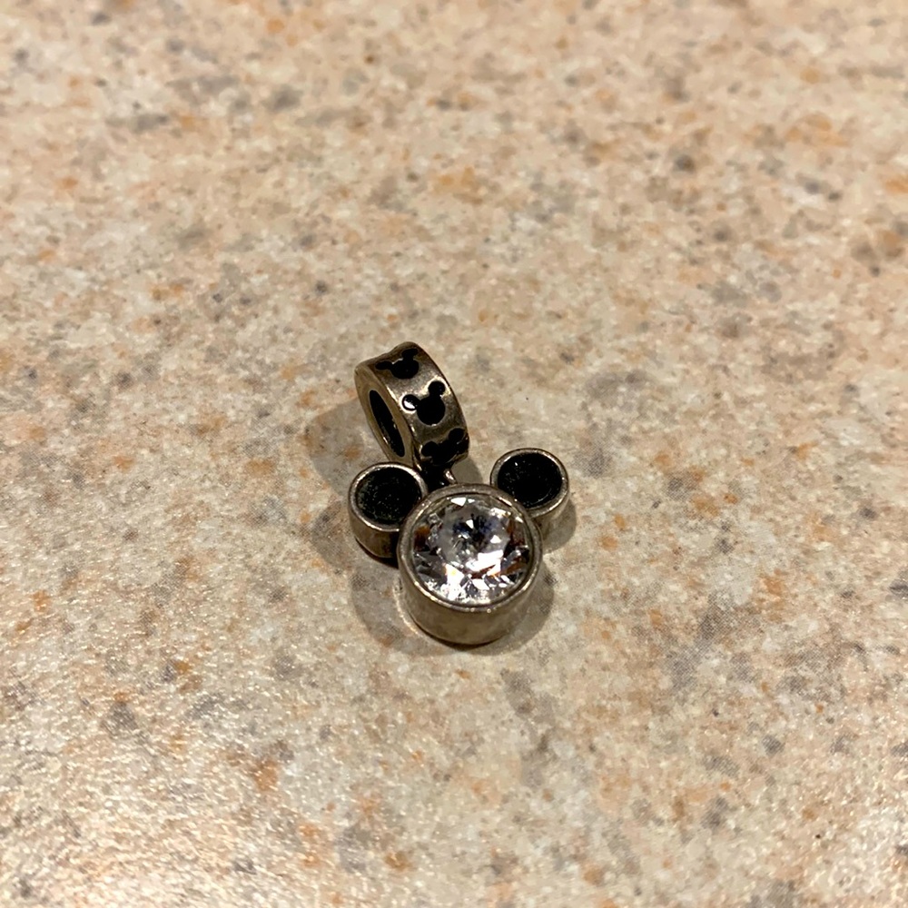 Disney MA Charm